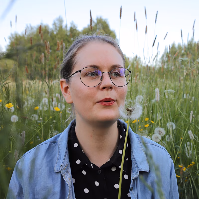 Kolm pööriluuletust